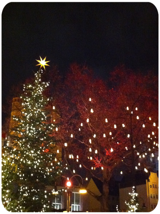 Weihnachtsbäume Weihnachtsbäume