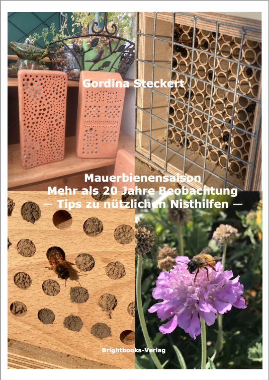 Buchcover Mauerbienensaison Buchcover Mauerbienensaison