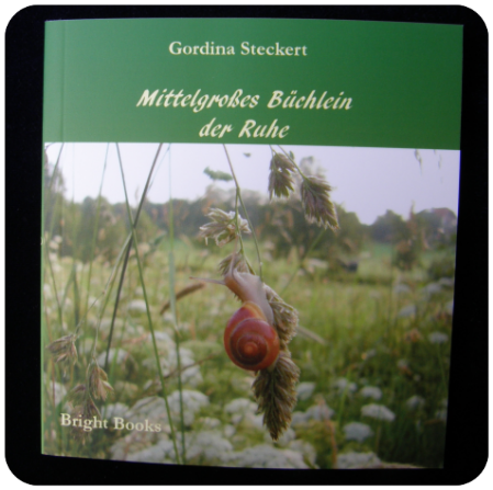 Ruhe Mittelgroßes Büchlein der Ruhe